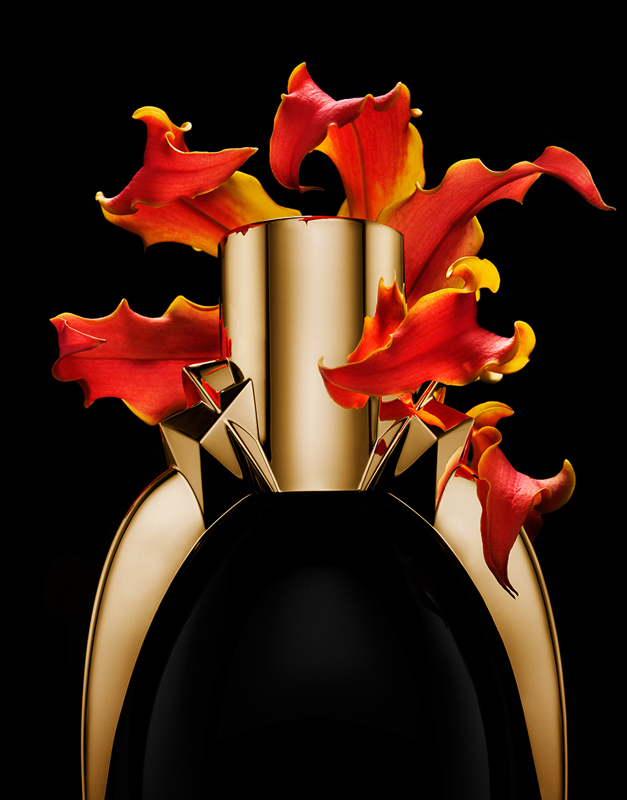Lady Gaga Fragrance